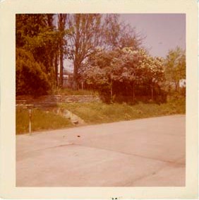 Notice how nice the landscape looks