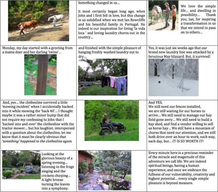 CyndieGuestPost6182013