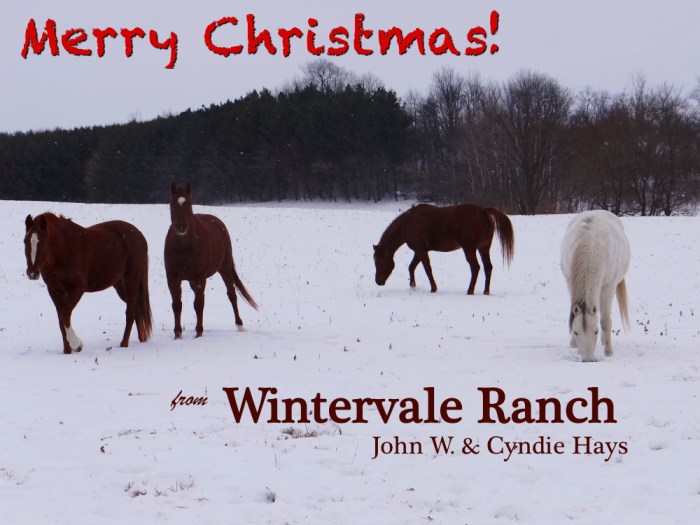 DSC02561merrychristmas