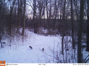 M2E85L160-160R396B366