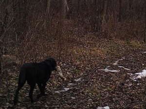 M2E107L208-208R392B382