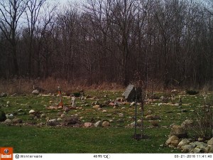 M2E120L227-226R392B382