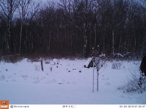 M2E95L174-174R392B362