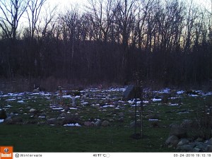 M2E83L156-156R399B369